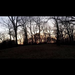 Meet your Posher, Celeste